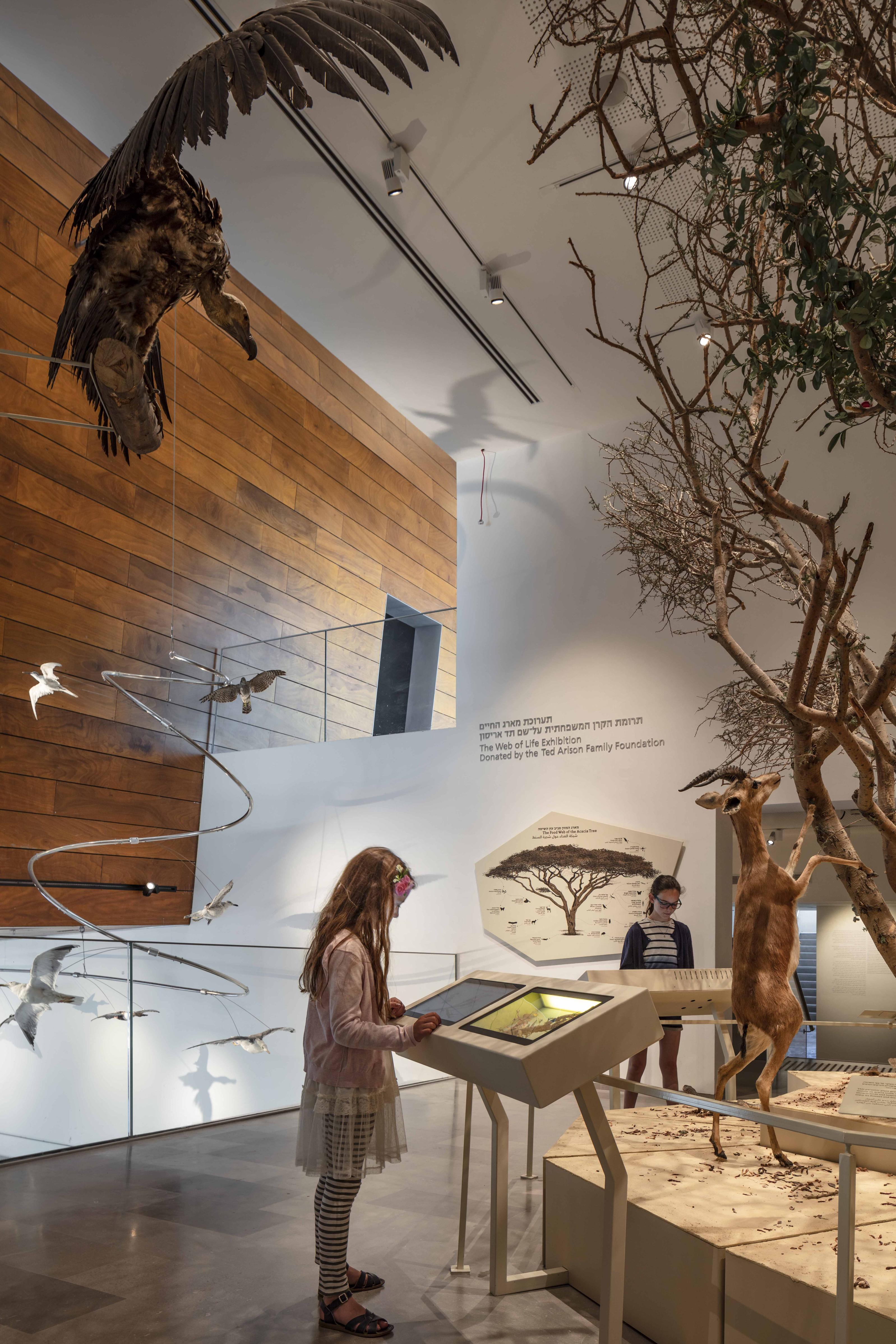 The Steinhardt Museum of Natural History